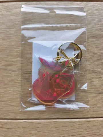 포켓몬 남코 피카츄 2연 키링 아크릴 키링