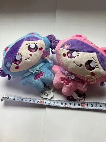 총 3종 중 2개 [시나쿠마] [대] 봉제 인형 시나코 짱 블루 핑크