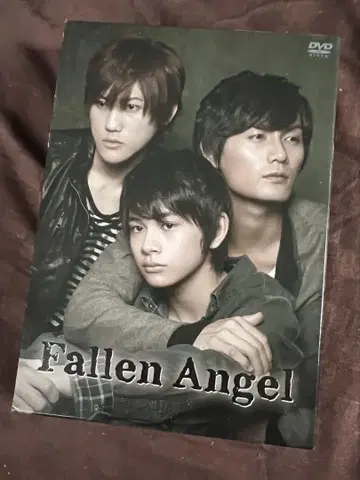 추락한 천사 DVD