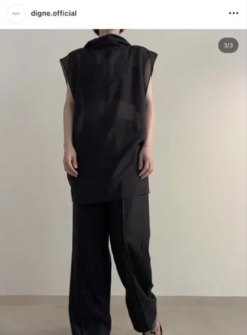 digne sheer N/S 시어 슬리브리스 상의 블라우스 미사용