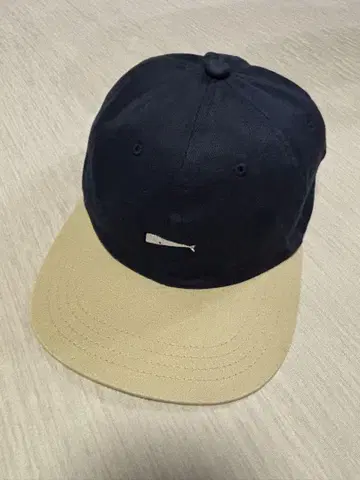 DESCENDANT 캡 디센던트