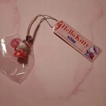고토치 키티 고베 이인관 네츠케 2001년 레트로 미사용 새상품
