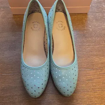 히미코 그린 힐 23cm