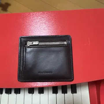 와일드 스완스