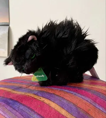 깜짝 세일 곁을 안 주는 고양이 세코나오 봉제 인형