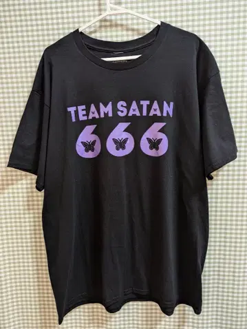 TEAM SATAN x STUGAZI 스케이트보드 티셔츠 L 사이즈 미국