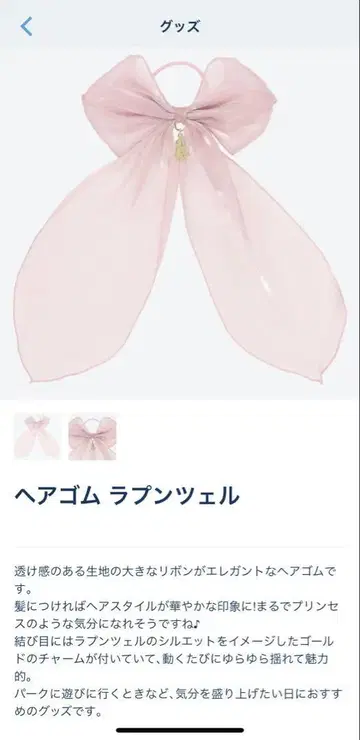 디즈니 리조트 라푼젤 헤어 밴드