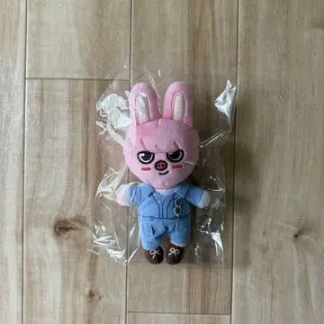 스트레이 키즈 토키 백 참