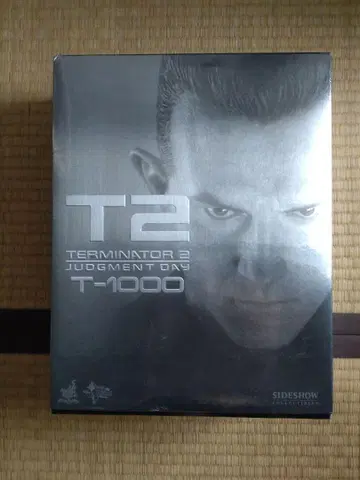 Hottoys T-1000 1/6