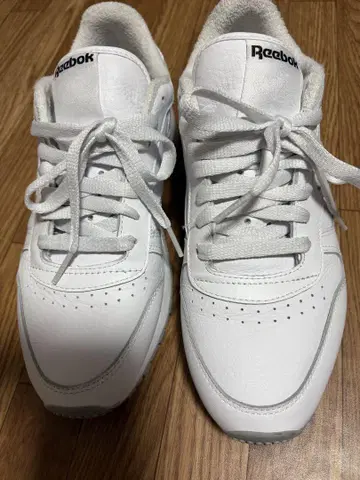 [리복] 클래식 레더 유나이티드 애로우즈 별주 26cm