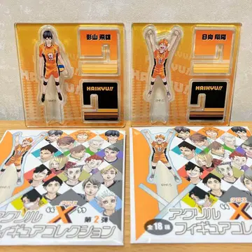 하이큐!! 아크릴 크로스 피규어 컬렉션 카게야마 히로유키 히나타 쇼요
