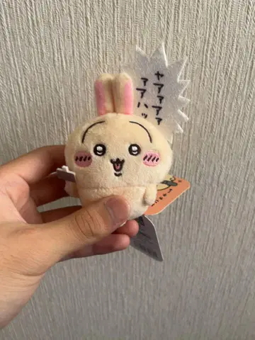 치이카와 토끼 가득 복권, 경품