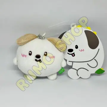 RIIZE 인형 미니 인형 키링 몬리이 안톤