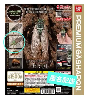 [새상품] 가샤폰 생물대도감 어드밴스 매미01 미카도맴맴