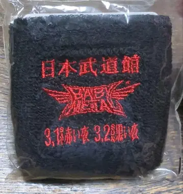 BABYMETAL 일본 무도관 리스트 밴드