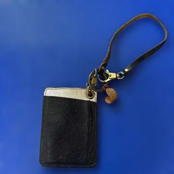 IL BISONTE 패스 케이스 & 체인 set