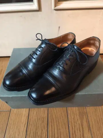 스코치그레인 샤인오어레인 24cmEEE