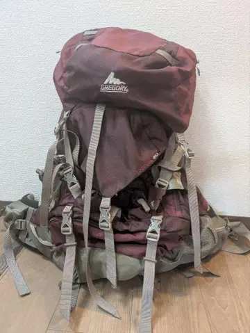 구 로고 GREGORY DEVA 60 백
