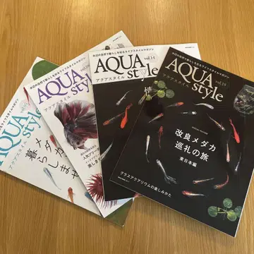 아쿠아스타일 = AQUA style 4권 세트