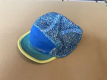 Patagonia 덕빌 캡