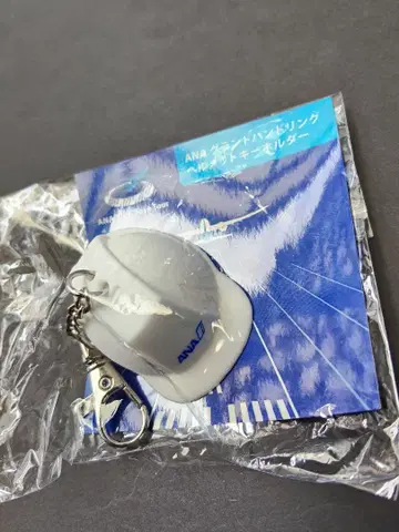 ANA Blue Base Tour 그라한 헬멧 키링
