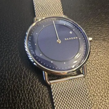 SKAGEN 손목시계 스카겐 SKW6488 실버 블루 남성용