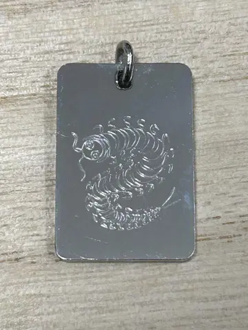 풍림화산 펜던트 탑