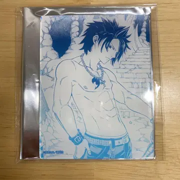 FAIRYTAIL 그레이 풀버스터 TSUTAYA 아크릴 카드
