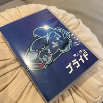 프라이드 DVD