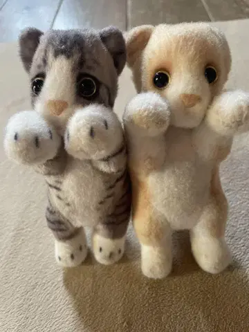 고양이 봉제인형