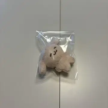 NCT DREAM 마스터 인형 마크, 제노, 지성
