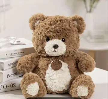 브라운 테디베어 22cm