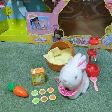 폭신폭신 토끼