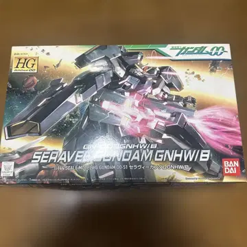 HG 1/144 세라비 건담 GNHW/B