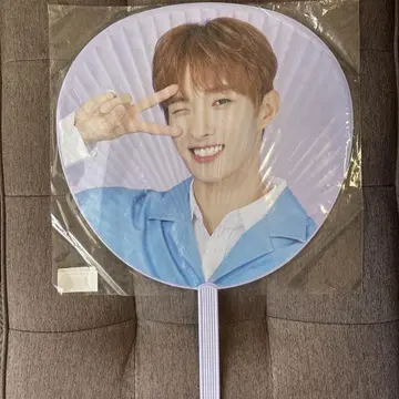 SEVENTEEN 도겸 부채 2020 SVT 도쿄돔 2매 세트