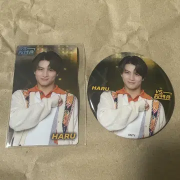 VS초특급 캔 거울 트레이딩 카드 하루