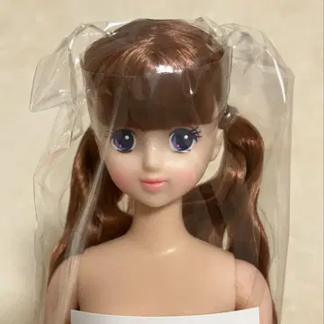 리카짱 캐슬 제니프렌드T 티모테 오타노시미 인형