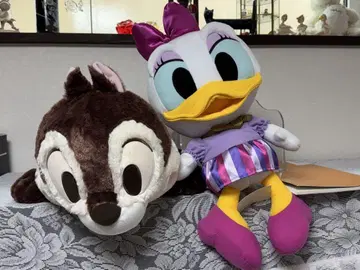 칩과 데이지 봉제 인형 세트