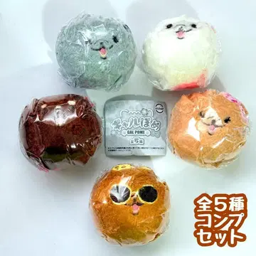 컴프 갸루포메 전5종 세트 포메라니안 강아지 강아지 이누
