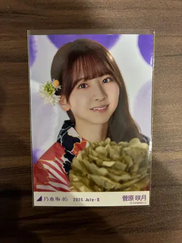 레어 포즈[앉은 요리] 노기자카46 브로마이드 스가와라 사츠키 유카타