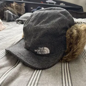 THE NORTH FACE 플라이트 캡 그레이