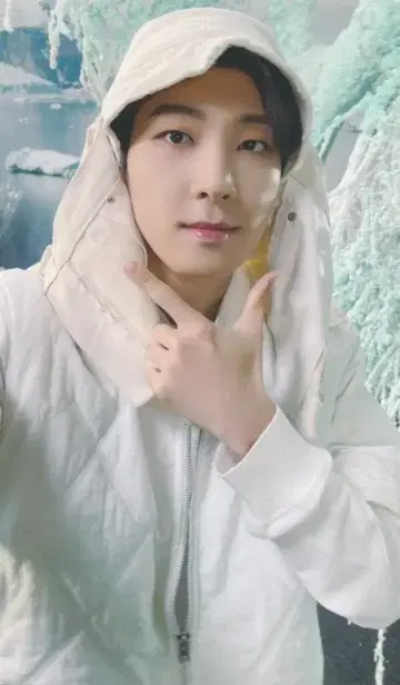 SEVENTEEN SECTOR 17 WONWOO 트레이딩 카드