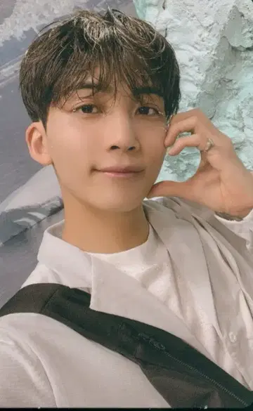 SEVENTEEN SECTOR 17 JEONGHAN 트레이딩 카드