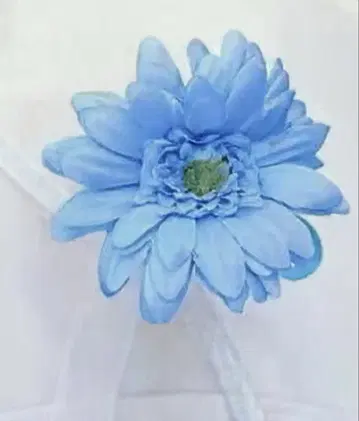 반자이와 여름방학 카와사키 호시키 꽃 낙하물