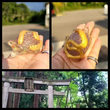 대순례 인간관계에 도움을 주고 불필요한 사람을 분별하는 현무 오르가나이트