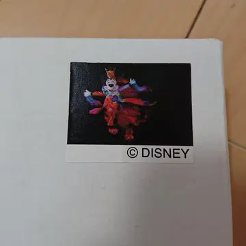 DISNEY Imagining the Magic