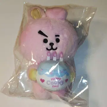 BT21 봉제 인형 FULL OF COOKY BTS 정국