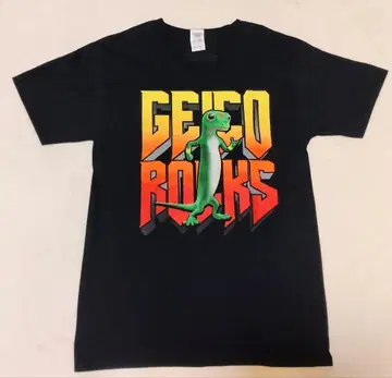 컨디션 최상 FRUIT OF THE LOOM GEICO 반팔 티셔츠 M