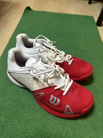 Wilson 하드 & 카펫 테니스화 26.5cm