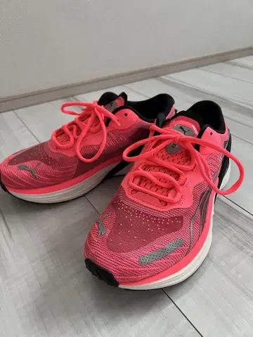 Puma 핑크 러닝화 여성용 24.5cm